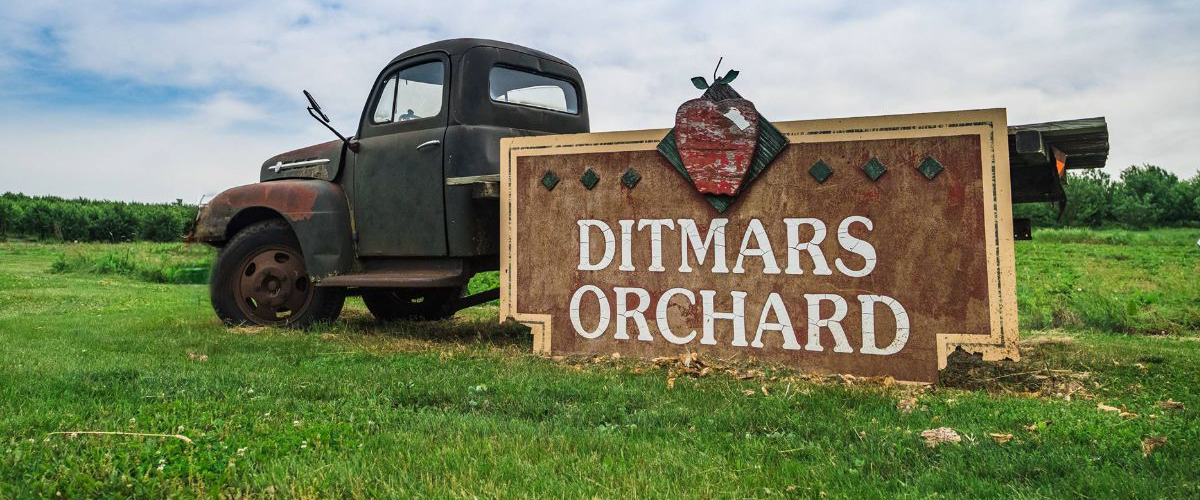 ditmars orchard